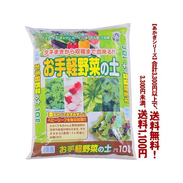 ((t))((V[Y))y؂̓y 10L