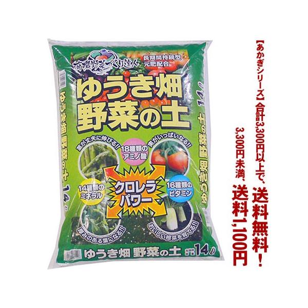 ((t))((V[Y))䂤@؂̓y 14L