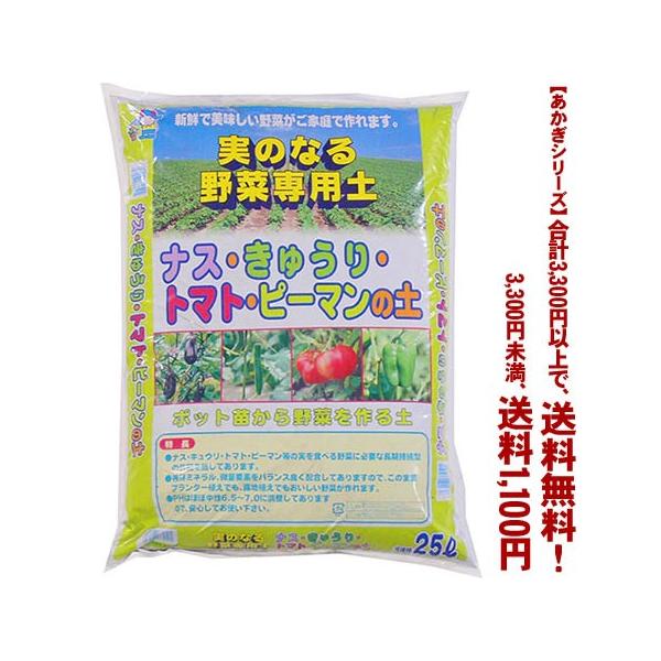 ((t))((V[Y))̂Ȃؐpy 25L