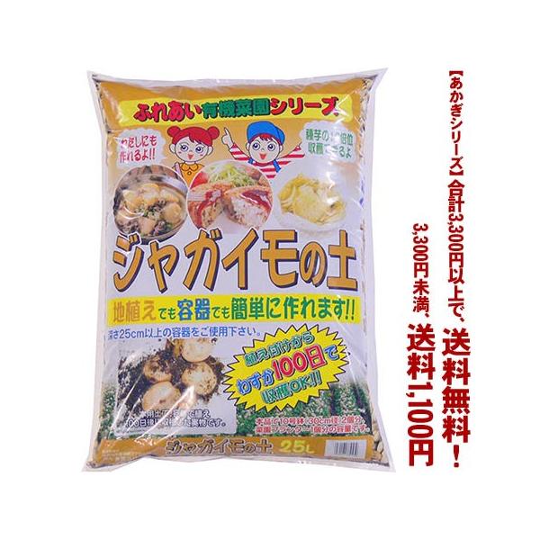 ((t))((V[Y))WKC̓y 25L