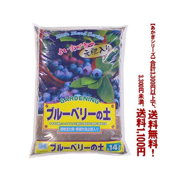 ((t))((V[Y))u[x[̓y 14L