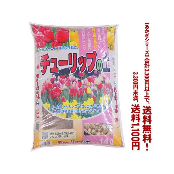 ((t))((V[Y))`[bv̓y 14L