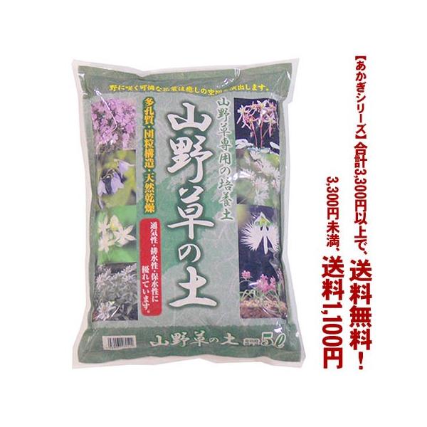 ((t))((V[Y))R쑐̓y 5L