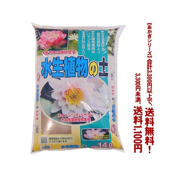 ((t))((V[Y))A̓y 14L