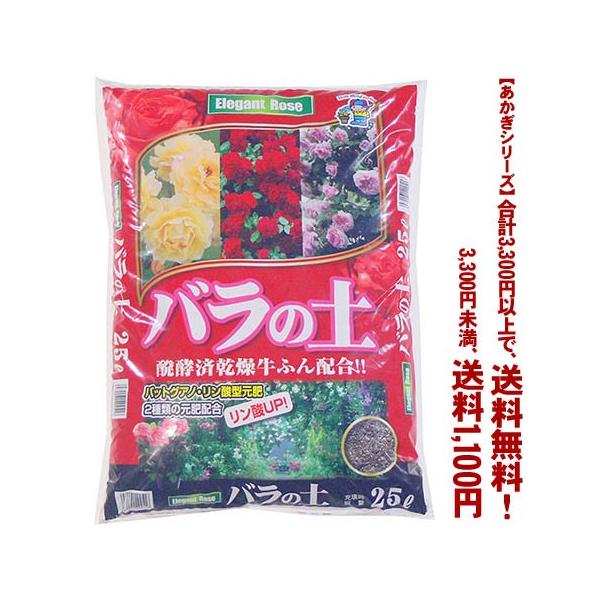 ((t))((V[Y))o̓y@obgOAm 25L