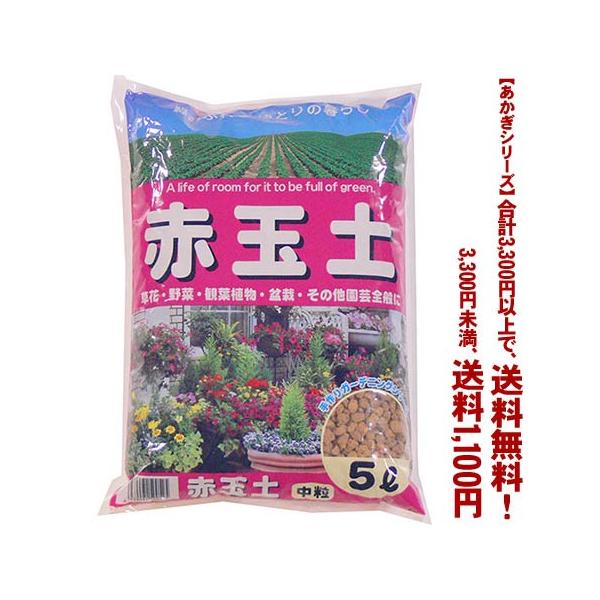 ((t))((V[Y))ԋʓy@ 5L