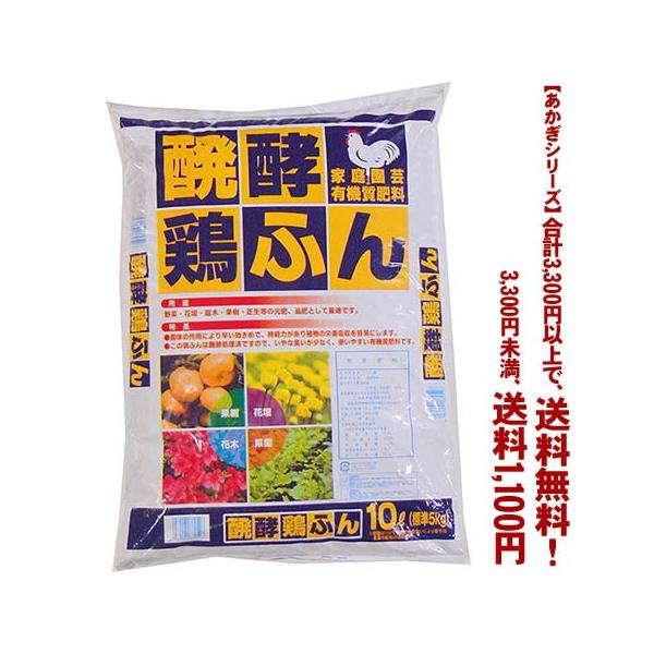 ((t))((V[Y))y{ӂi10Lj 5K