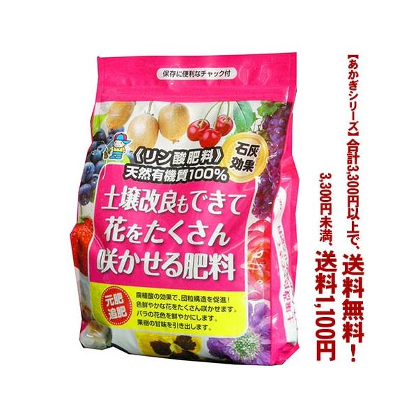 ((t))((V[Y))yǂoĉԂ炩엿 1K