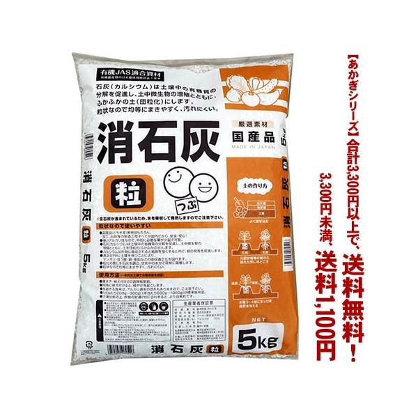 ((t))((V[Y))󍬍ΊD 5K