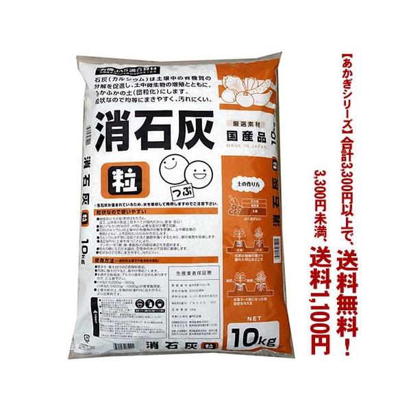 ((t))((V[Y))󍬍ΊD 10K