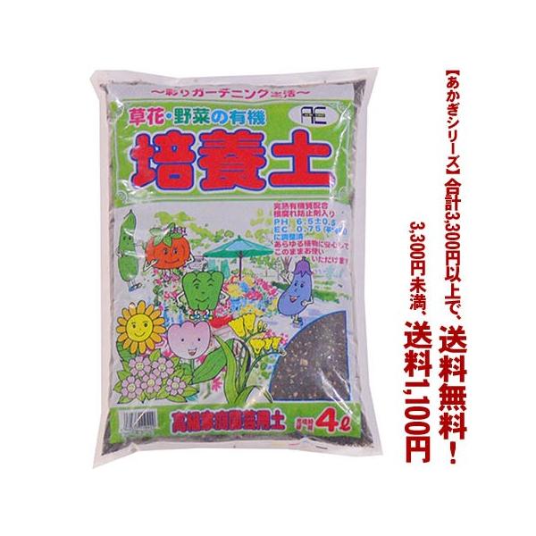 ((t))((V[Y))ԂƖ؂̔|{y 4L