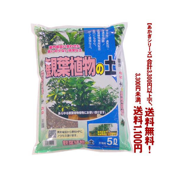 ((t))((V[Y))ϗtA̓y 5L