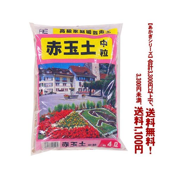 ((t))((V[Y))ԋʓy@ 4L