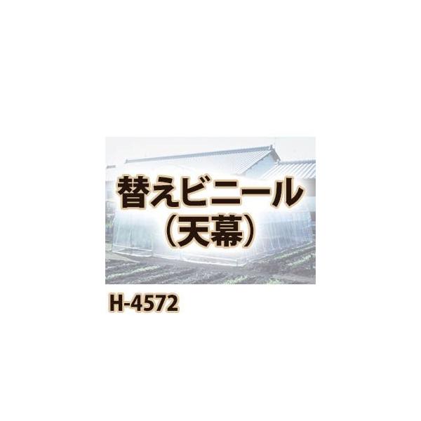 hH ؉nEX@ւrj[@V H-4572p