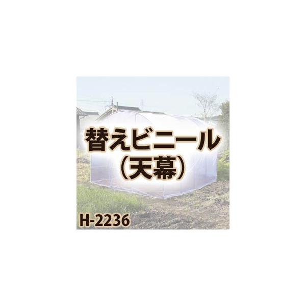 hH ؉nEX@ւrj[@V H-2236p