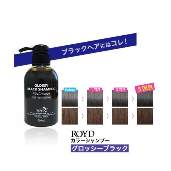 ROYD カラーシャンプー 白髪 ロイド グロッシーブラック 300ml ROYD カラーシャンプー 白髪 ロイド グロッシーブラック 300ml