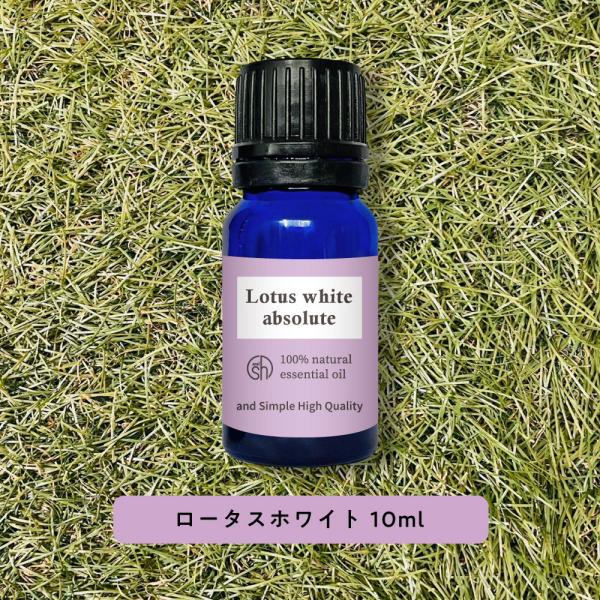 ロータス 精油」の人気商品一覧 | 安い商品を通販サイトから探す