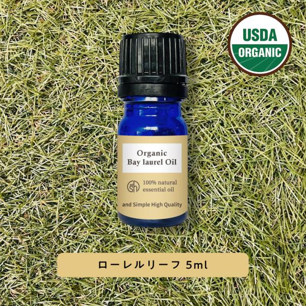 GbZVIC  [[t 5ml sh A} +lt3+