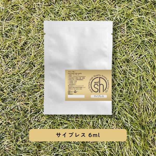 GbZVIC  TCvX 6ml &amp;SH A} lߑւp +lt3+