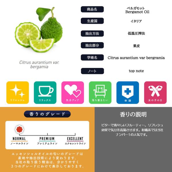 kumokumo-square_e-005041_4