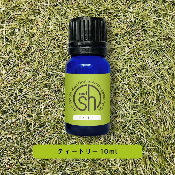 GbZVIC  eB[gD[ 10ml eB[g[ A}Xg[ ObY &amp;SH +lt3+