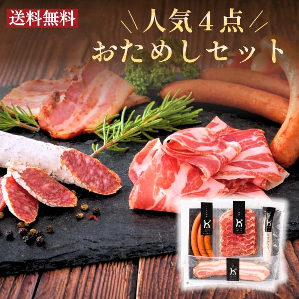 粉雪サラミ入り おためしセット 送料無料 生ハム サラミ おつまみ ベーコン ウインナー 食べ比べ 唐津くん煙工房
