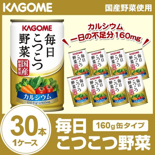 KAGOME カゴメ 毎日こつこつ野菜160g 30本入 1ケース 野菜
