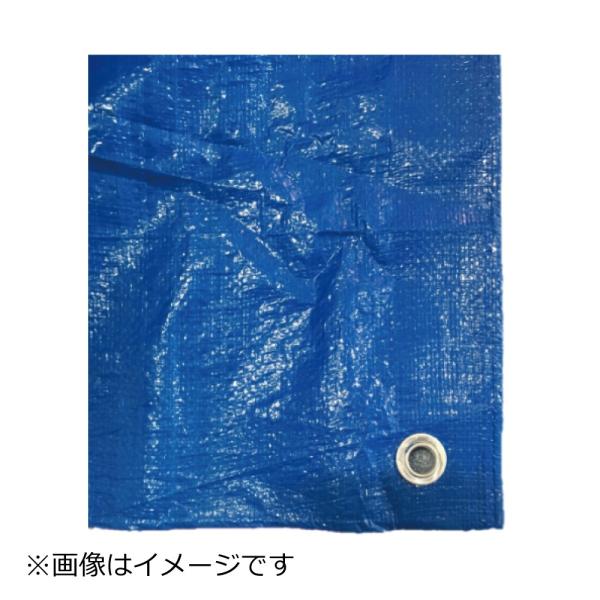 三愛(サンアイ) ジャンボシート厚手品 輸入 #3000 20X20 (1枚) ※法人様限定商品