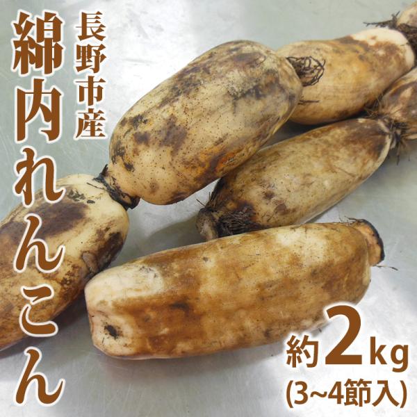 長野市若穂綿内地区で江戸時代より栽培されている綿内蓮根は、正月や祝いごとにかかさず登場する縁起物「幻のれんこん」とも呼ばれているこの綿内蓮根、沼地ではなく粘土質の土地で水をためずに栽培されており、そのためか一節が大きく、やわらかな歯触りで粘...