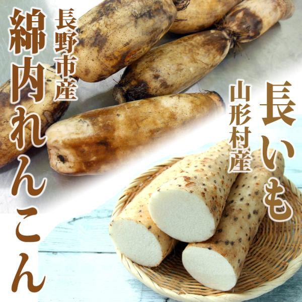 長野市若穂綿内地区で江戸時代より栽培されている綿内蓮根は、正月や祝いごとにかかさず登場する縁起物「幻のれんこん」とも呼ばれているこの綿内蓮根、沼地ではなく粘土質の土地で水をためずに栽培されており、一節が大きく、やわらかな歯触りで粘りがあり、...