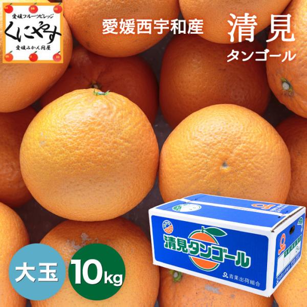 みかん せとか 10Kgの人気商品・通販・価格比較 - 価格.com みかん せとか 10Kgの人気商品・通販・価格比較 - 価格.com