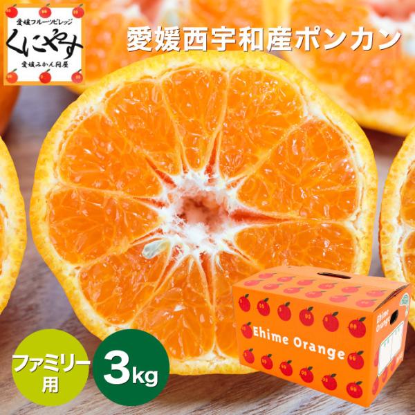 ut@~[Q|J3vyzyMtgzyYnzt@~[p Q |J 3kg _n85N Q݂  V܁^