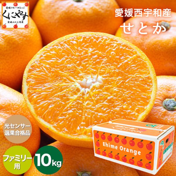 みかん 5kg 箱」の人気商品一覧 | 安い商品を通販サイトから探す