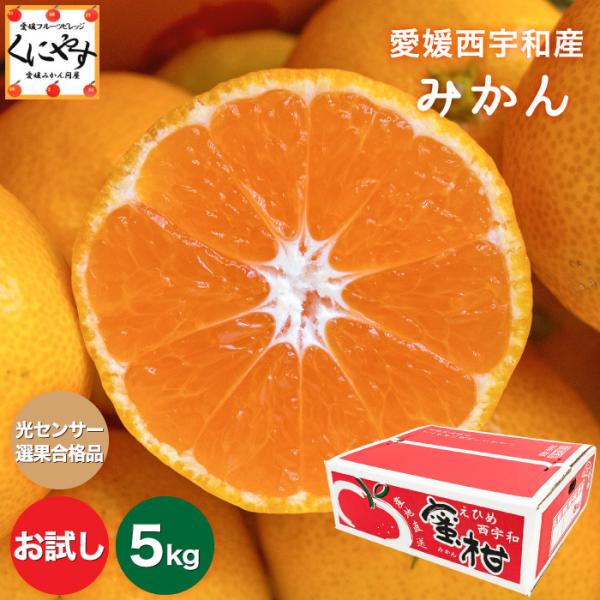 u݂5vQFanYnyzyMtgzyYnzQFaY݂5L iSTCY