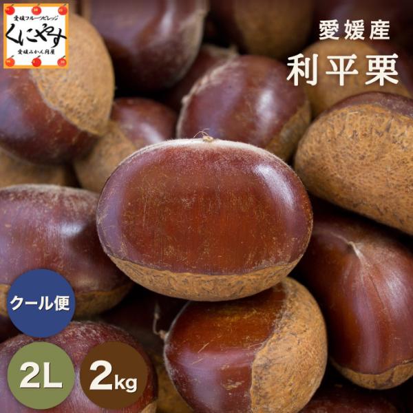 和栗　大粒　1キロ  (栗の王様利平ミックス)無農薬栽培