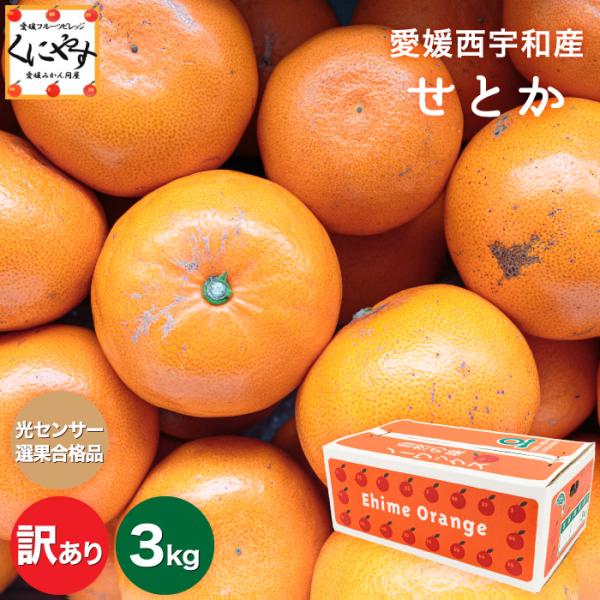 ✩adeanakasam 様✩専用 せとか ３キロ×4箱 訳ありせとか3」【送料無料】【産地直送】訳あり 愛媛西宇和産 せとか