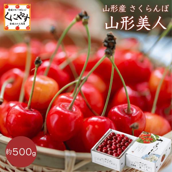 山形美人500」新発売【送料無料】【ギフト】【産地直送】山形産