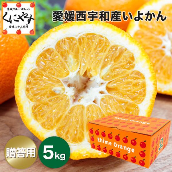 贈答いよかん5 いよかんの横綱 宮内伊予柑 送料無料 贈答品 愛媛宮内いよかん5kg 1箱 2l 3lサイズ 目安18 24個 Buyee Buyee Japanese Proxy Service Buy From Japan Bot Online