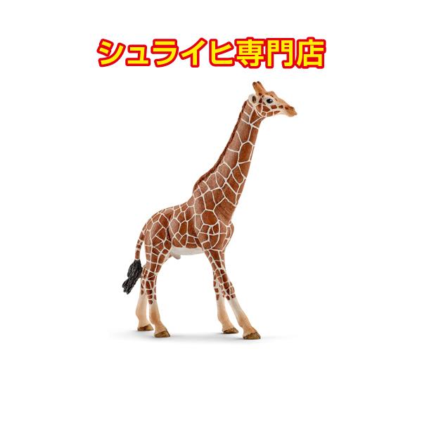 シュライヒ専門店】シュライヒ キリン オス 14749 動物フィギュア