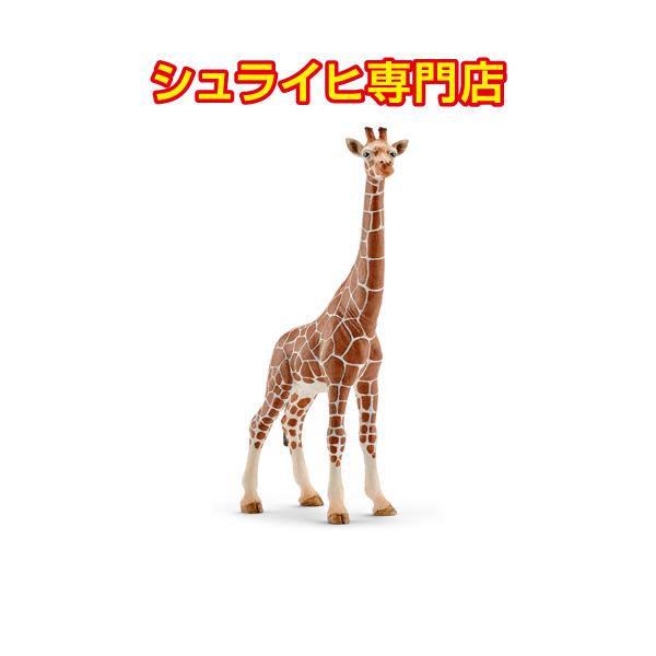 シュライヒ専門店】シュライヒ キリン メス 14750 動物フィギュア
