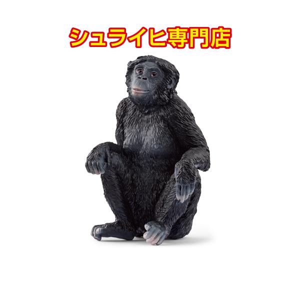 kupitoys_14875