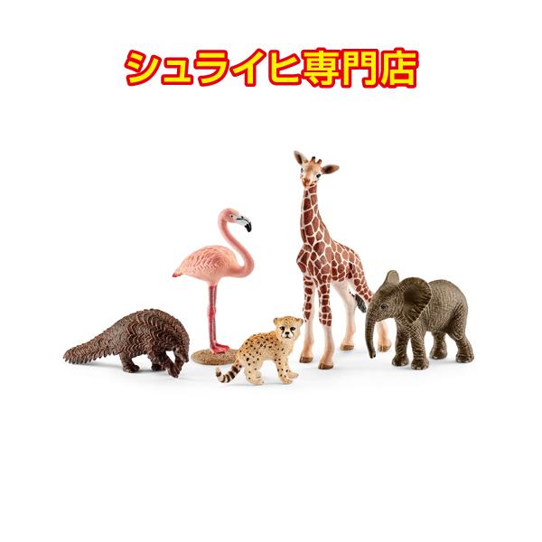 シュライヒ専門店】シュライヒ ワイルドライフの人気者セット 42388