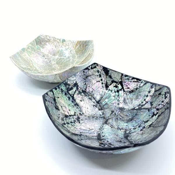 VF gC    ANZT[ fBXvC Lk CeA o