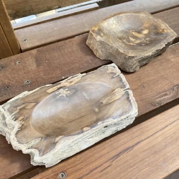 \[vfBbV Όu \[vg[ 2^Cv ΂u \[v oX[ V[ ؂   Lb`pi