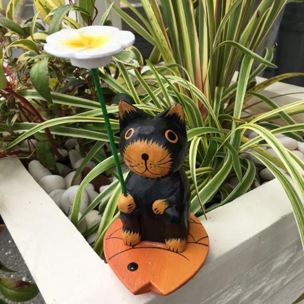 ԂolR L̒u 킢 LG lR̒u 킢 LG L lR u ؐIuWF LObY