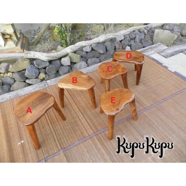 kupukupu_y-23012