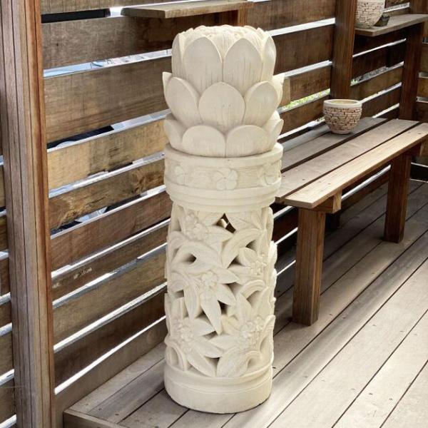 o Α Xg[IuWF vA 100cm ΍ AWAX^C