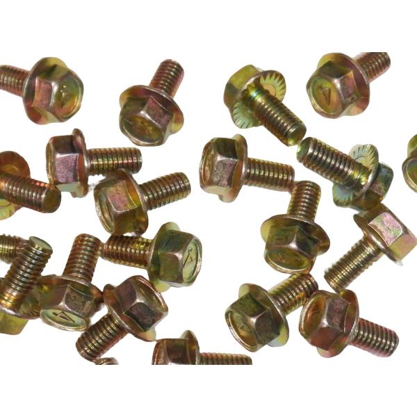 フランジボルト M6×12mm 10個 クロメートメッキ セレート付き