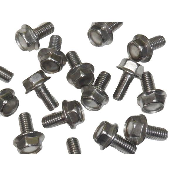 ステンレス生地 M6×12mm 10個 フランジボルト