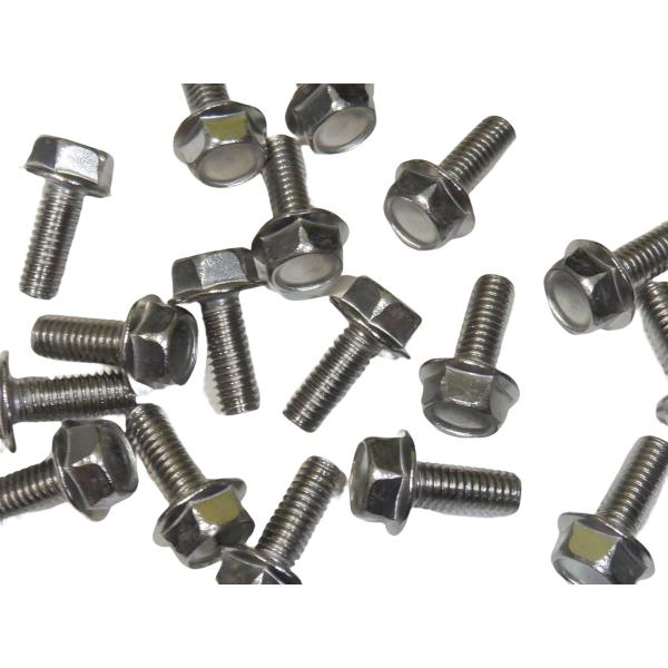 ステンレス生地 M6×15mm 10個 フランジボルト